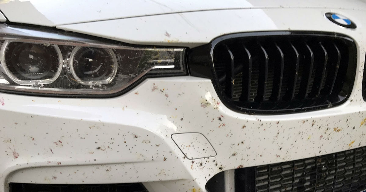 BMW μυγάκια bugs